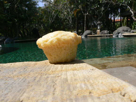Blue Skies Inn Muffins Travelling the World