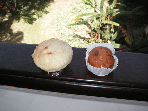 Blue Skies Inn Muffins Travelling the World