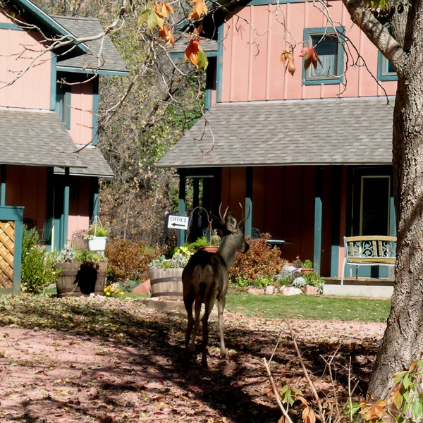 Blue Skies Inn - Hotel in Manitou Springs, Colorado